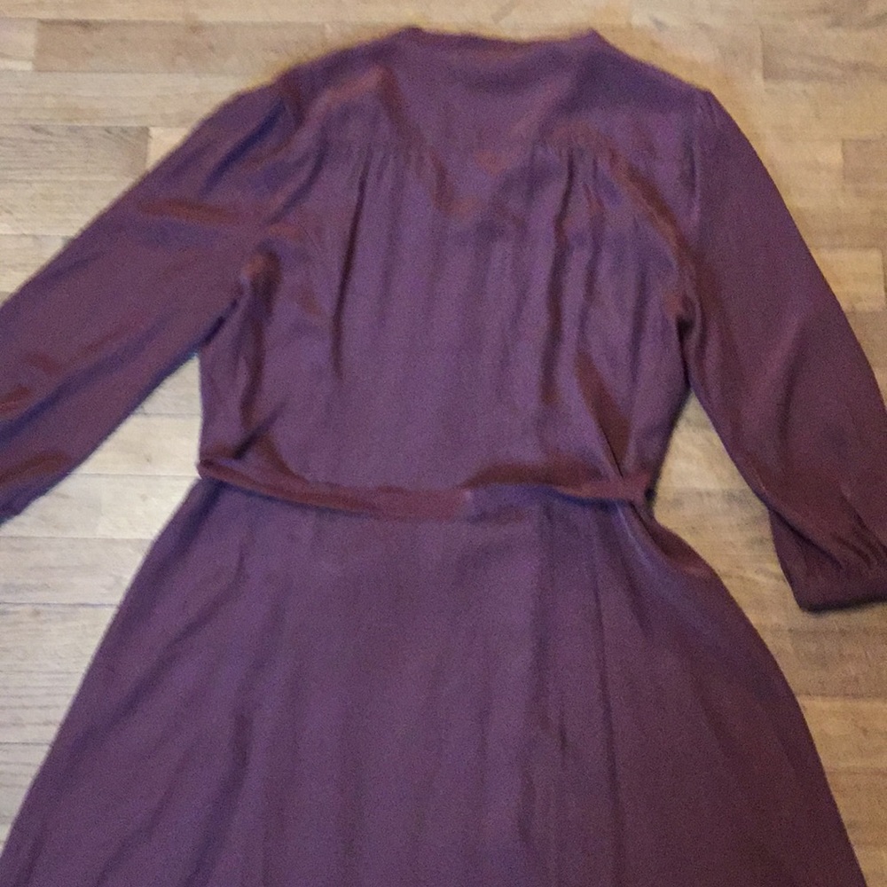 Territory Ahead Washed-Silk Dress - Picture 6 of 7